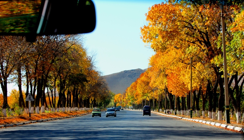 21 ноября в Узбекистане ожидается теплая осенняя погода