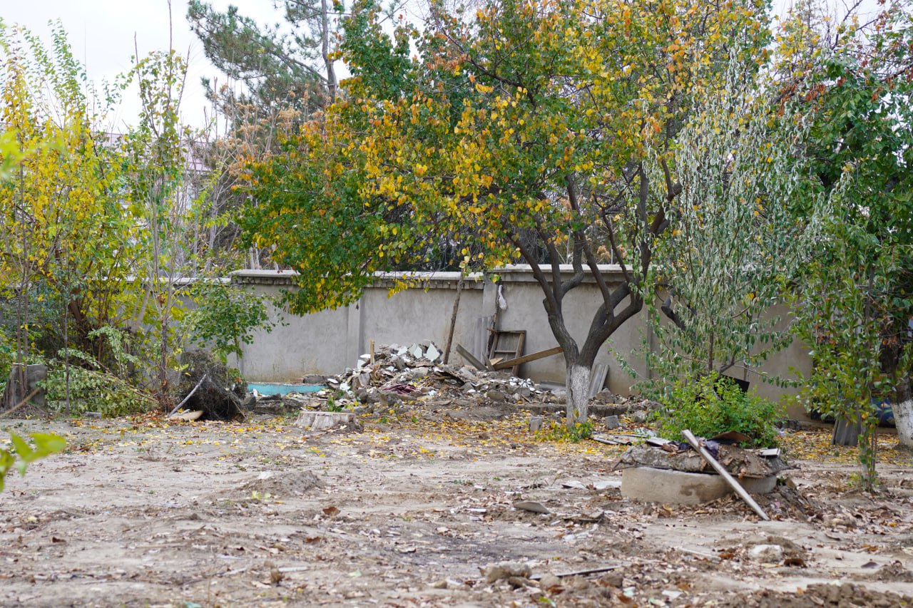 На территории дендропарка в Ташобласти были 4 незаконные постройки: все они действительно снесены — фоторепортаж