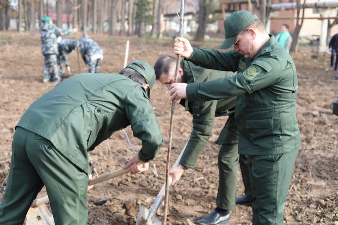 Сотрудники органов прокуратуры засадили деревьями дендропарк