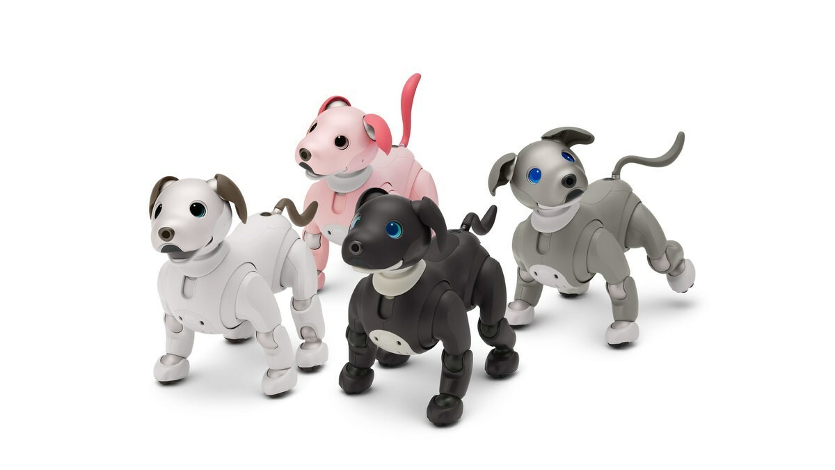 Sony представила обновлённого робота-щенка Aibo