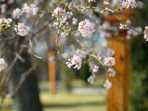 Тепло, местами жарко: коротко о погоде на 19 апреля