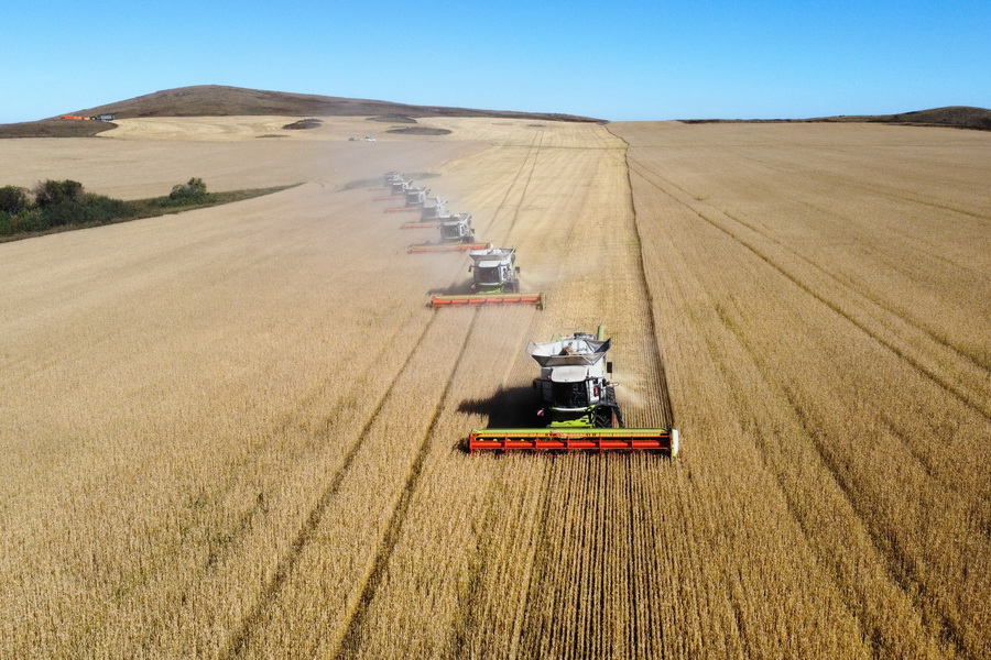 Қозоқ буғдойининг Ўзбекистонга экспорт ҳажми ўтган йилгидан ошди