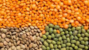 Стало известно, какой продукт необходимо есть всем