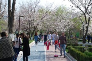 В большинстве областей Узбекистана будет жарко