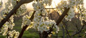 Тепло и дождливо: коротко о погоде на 23 апреля