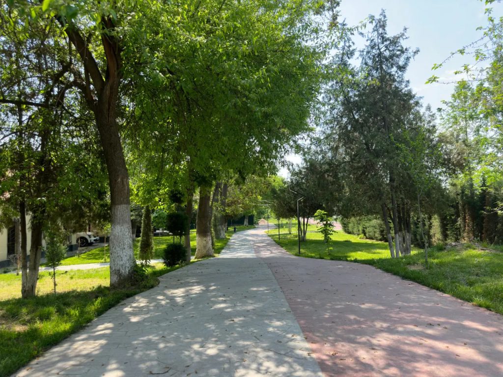 Выходные  выдадутся с сухой и жаркой погодой с температурой до +34 градусов