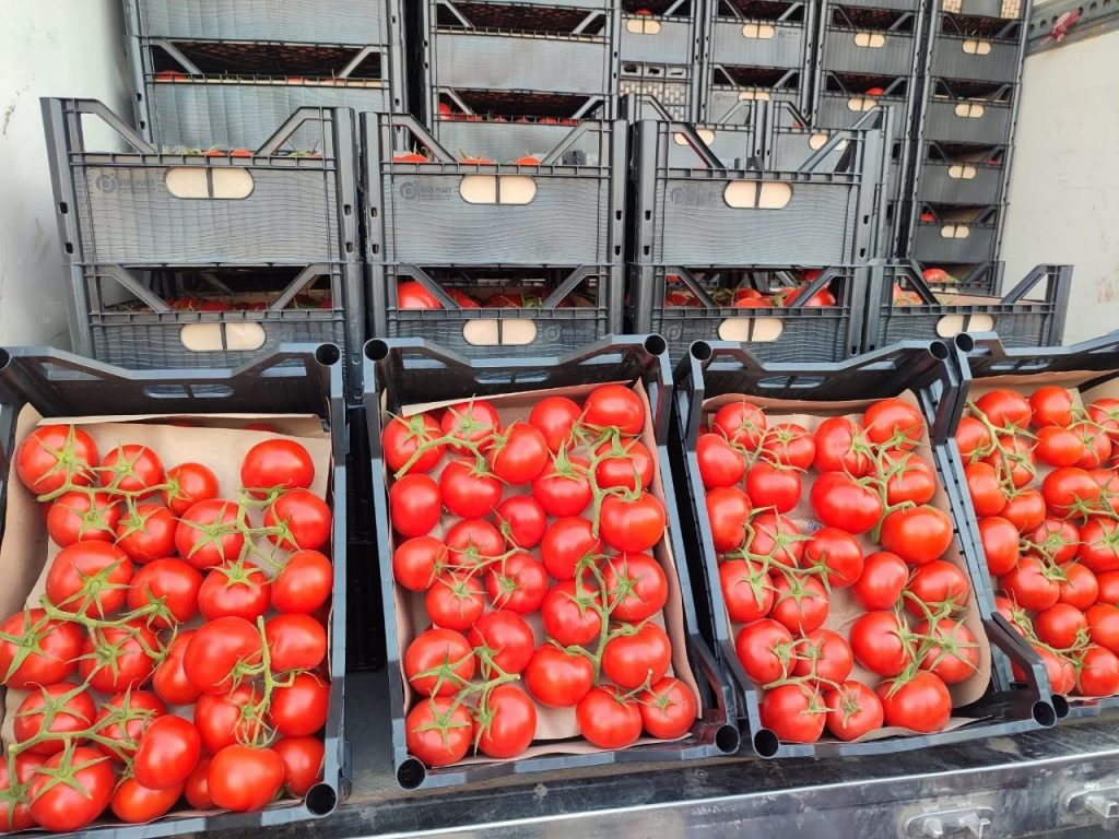 EastFruit: Туркменистан полностью вытеснил Узбекистан с рынка тепличных помидоров Таджикистана