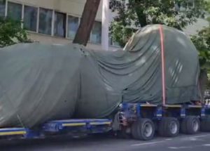 На «бродвее» в Ташкенте срубили многолетние деревья