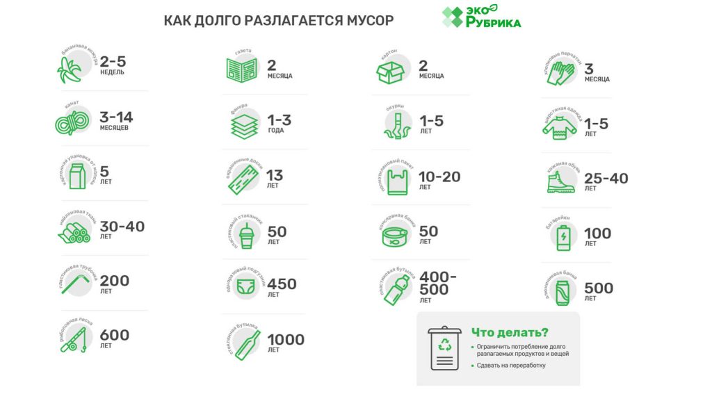 Сортировка мусора — шаг к чистому будущему