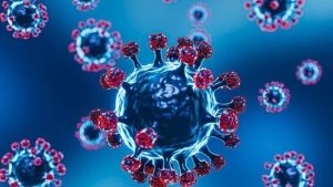 ВОЗ: Этим летом может произойти всплеск заболеваемости коронавирусом