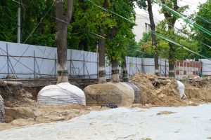 Деревья никто не рубил, их пересаживают, — руководитель Metropol Group