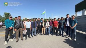 Сколько узбекистанцев уехали на заработки в Великобританию?