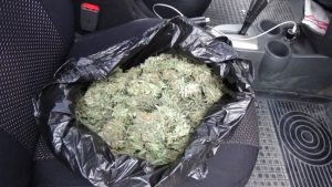 В Ташкенте задержали двух мужчин с пакетами марихуаны