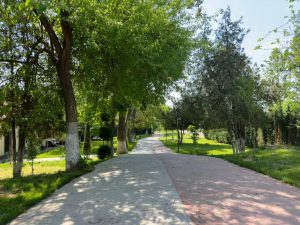 В Узбекистане до конца недели сохранится жаркая погода