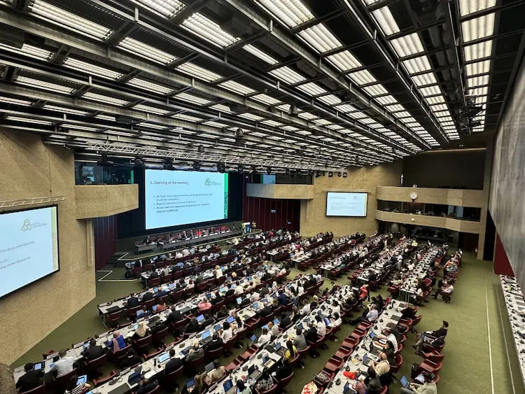 Экология вазирлиги Ўзбекистонда пластик чиқиндиларнинг шаклланиши бўйича тадқиқотларни ташкил этади