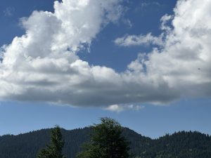 Ўртача иссиқ: 3 июлдаги об-ҳаво ҳақида қисқача