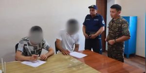 На парней, которые кормили черепаху насваем, наложен штраф