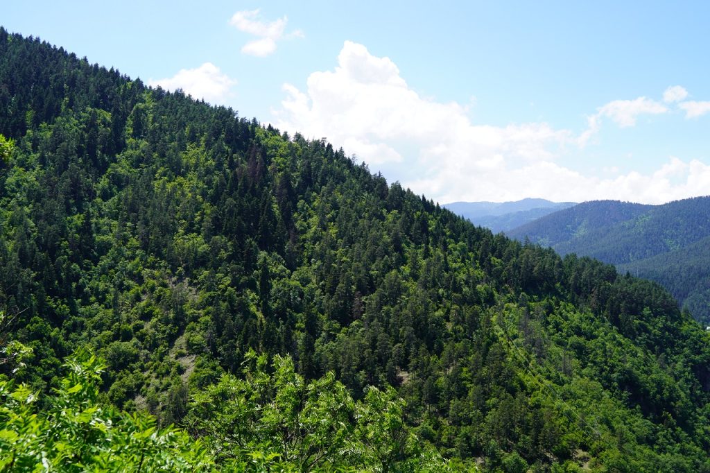 Бу ҳафта иссиқ ҳарорат бироз пасайиши кутилмоқда