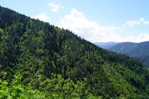 Бу ҳафта иссиқ ҳарорат бироз пасайиши кутилмоқда