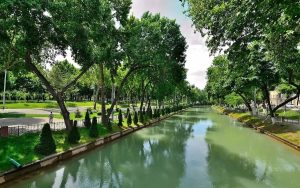 Жара спадает: о погоде на 16 августа