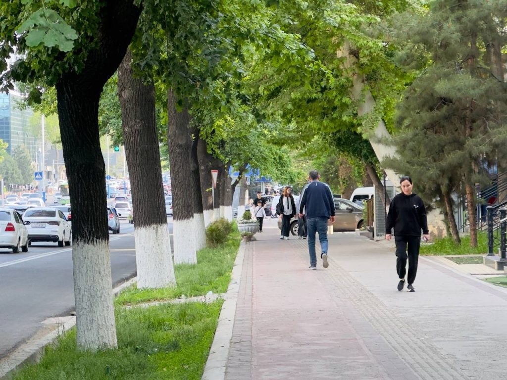 Жазирама ва шамолли: 6 август кунги об-ҳаво ҳақида