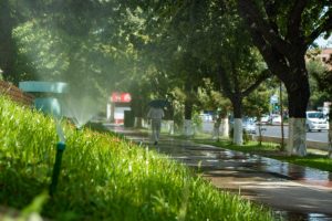 Ўзбекистонликларни очиқ ва илиқ дам олиш кунлари кутмоқда