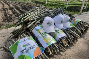 «Яшил макон муваффақиятлари»: миллиондан ортиқ кўчат ҳисоботларга қўшиб ёзилган