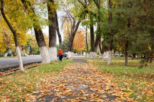 Станет прохладнее: синоптики обнародовали прогноз погоды на выходные