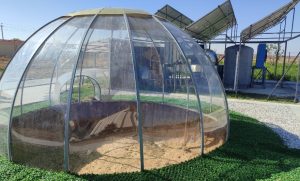 Ҳамкорлик истиқболлари: ҳаводан ичимлик суви