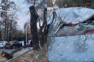 Тошкентда автомобининг устига дарахт шохи қулади: жабрланган бор