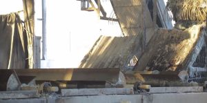 Бутунжаҳон чиқиндиларни иккиламчи қайта ишлаш куни: Ўзбекистон экологик технологияларга эътибор қаратмоқда