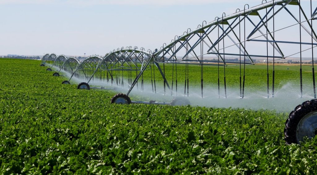 Prezident organik yerlar maydonini 100 ming gektarga yetkazish bo‘yicha topshiriq berdi