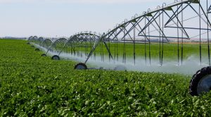 Prezident organik yerlar maydonini 100 ming gektarga yetkazish bo‘yicha topshiriq berdi