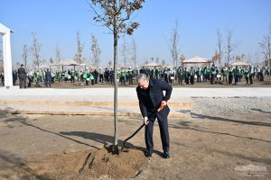 Мирзиёев янги боғга кўчат экди