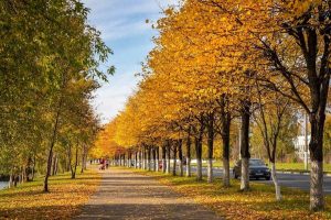 Дам олиш кунларида ёғингарчиликсиз илиқ об-ҳаво кутилмоқда