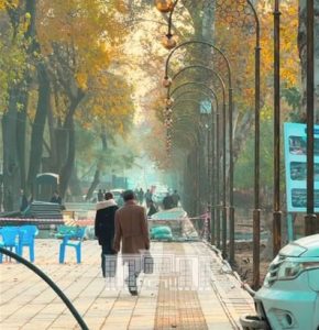 Тошкентда яна бир гастрономик кўча очилади