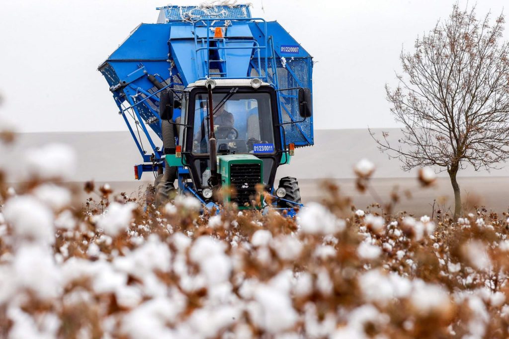 Наманганда мактаб ўқувчиси трактор прицепидан йиқилиб, ҳалок бўлди