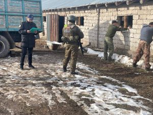 O‘zbekiston-Qozog‘iston chegarasida transmilliy uyushgan guruh faoliyati fosh etildi