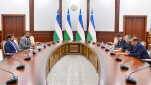 Oʻzbekiston TIV BAA elchisi bilan fuqarolar aeroportga kiritilmagani yuzasidan suhbatlashdi