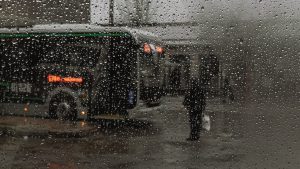 Sovuq tushishdan oldin biroz yomgʻir: 19-dekabrdagi ob-havo haqida qisqacha