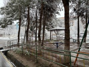 Холодно, но без осадков: о погоде на 24 декабря