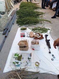 Toshkentda uyida yarim kiloga yaqin marixuana saqlagan erkak ushlandi