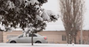 Kunduzi biroz iliq boʻladi: 17-dekabrda ob-havo