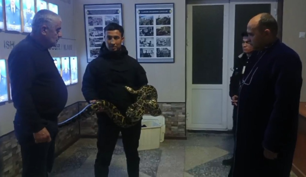 Samarqandda yashovchi shaxs uyida Qizil kitobga kiritilgan pitonni noqonuniy saqlagani aniqlandi