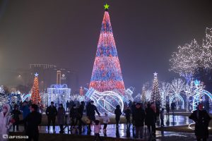 Стало известно, где установят главную елку страны