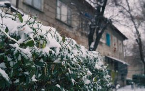 Понижение температуры: погода на 18 декабря