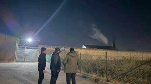 46 теплиц портивших воздух в Ташкенте временно закрыли