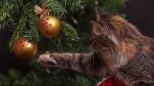 Eski Yangi yil: bayramning tarixi, an’analari va ahamiyati