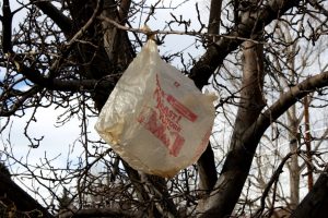 O‘zbekiston plastik paketlarni butunlay taqiqlashga tayyorlanmoqda