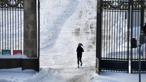 Новые Тренды Здорового Образа Жизни в 2025 Году